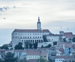 Založení a.s. v České republice